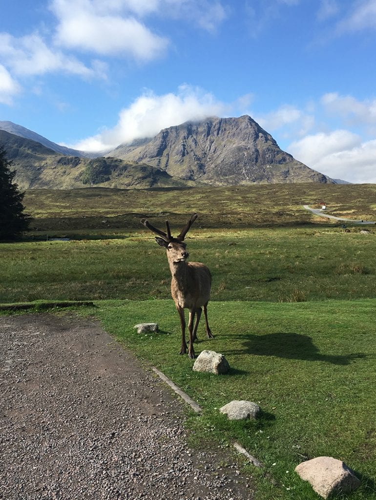 The West Highland Way