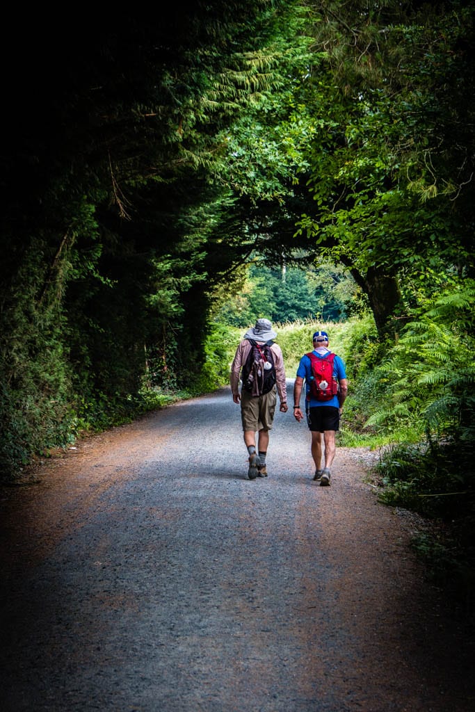 Camino Frances (The French Way) - The final 100kms