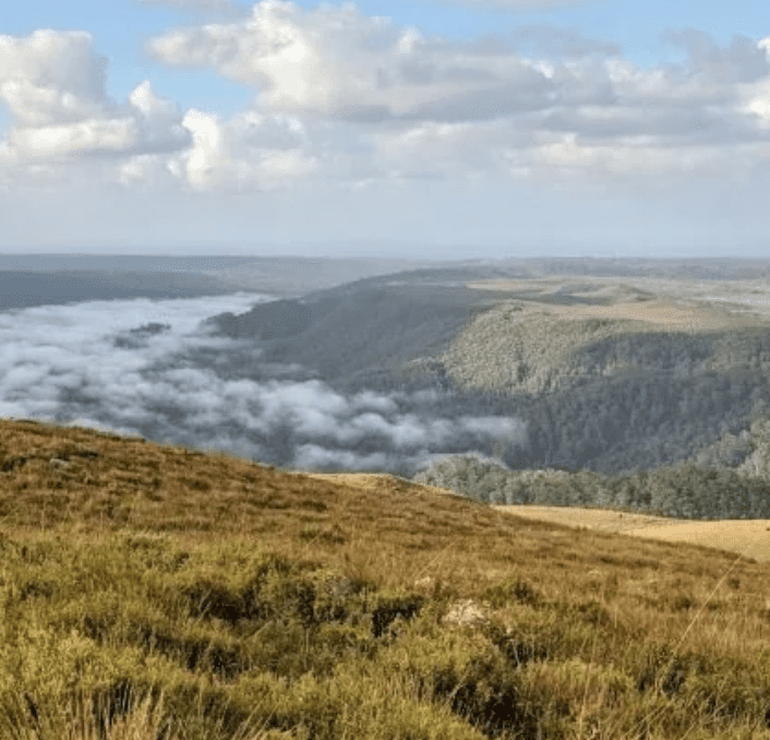 Tasmania: Tarkine Wilderness Walk